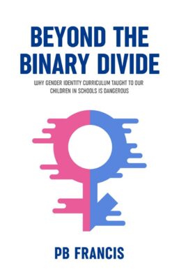 Beyond the binary divide logo with a white color background