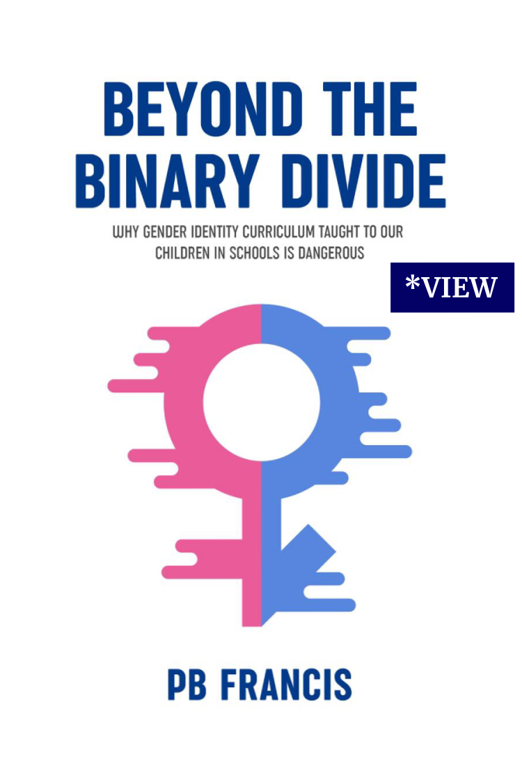 Beyond the binary divide logo with a white color background